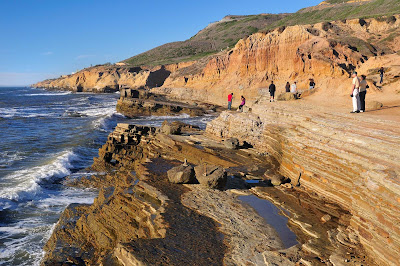 Tidepools at Pt. Loma, San Diego.