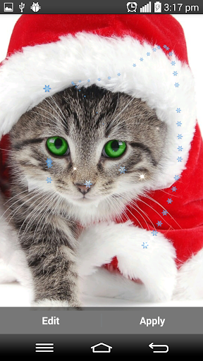 【免費娛樂App】Christmas Cat Live Wallpapers-APP點子