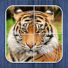 Jungle Puzzle - fun for kids Application icon