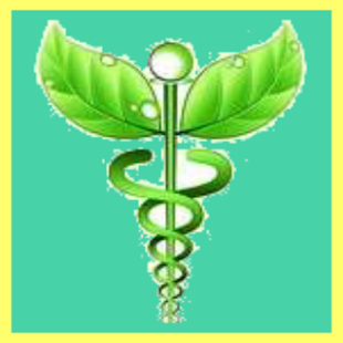 How to mod Weight Loss Detox Diet patch 1.0 apk for android