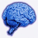 NIH Stroke Scale