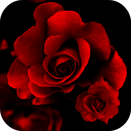 Roses Live Wallpaper LOGO-APP點子