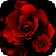 Download Roses Live Wallpaper For PC Windows and Mac 2.0