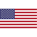Flag Pin logo