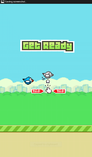 Flippy Bird Pro