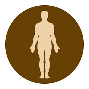Тесты анатомия logo