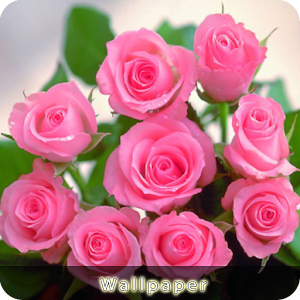 Waterdrop Theme.apk 1.0.0