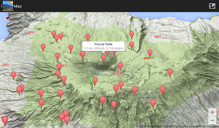 In Sight - The Canaries poster 7