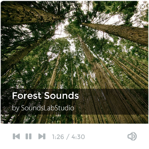Forest Sounds - Mind Therapy