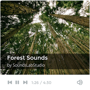 Lastest Forest Sounds - Mind Therapy APK for PC