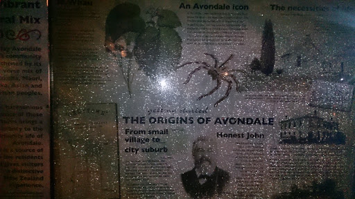 The Origins of Avondale 