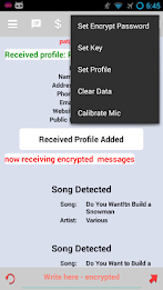 Sonic Messenger poster 9