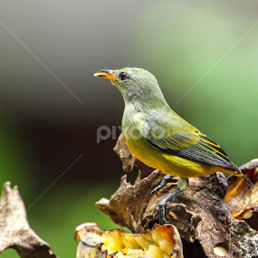 by Kuppusamy Ramesh - Uncategorized All Uncategorized