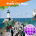 Duluth Street Map logo