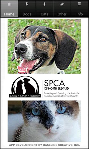 NBSPCA Classic