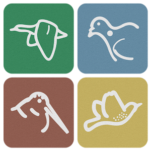 CDM logo