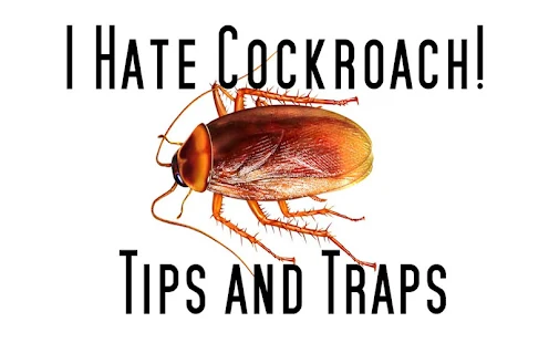 I Hate Cockroach: Tips Traps