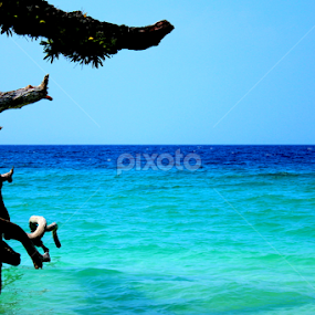 SHADES OF NATURE by Tarunjyoti Tewari - Landscapes Waterscapes