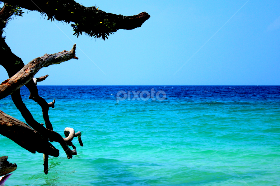 SHADES OF NATURE by Tarunjyoti Tewari - Landscapes Waterscapes