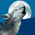 Wolfhound Live Wallpaper logo