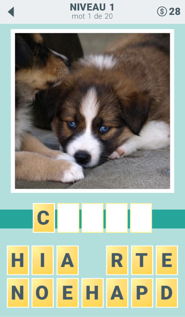 Android application 4 clues: word search game screenshort