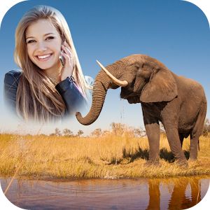Animal Photo Frames.apk 1.2