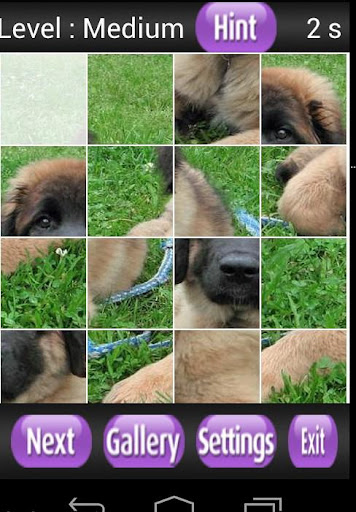 【免費解謎App】Leonberger Kids Games-APP點子