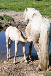 corner puzzle poster 3