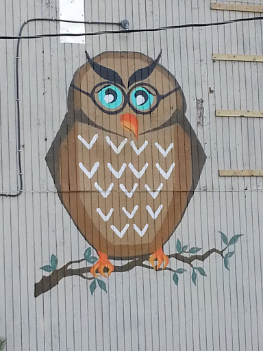 Wise Owl Mural