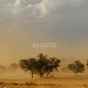 Dust Storm by Gerhard Strydom - Landscapes Waterscapes