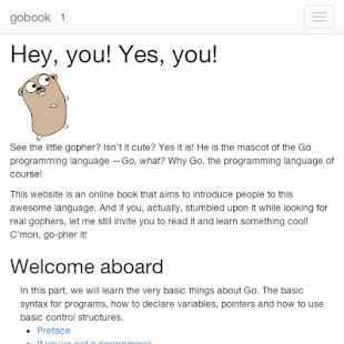 go golang book Screenshots 1