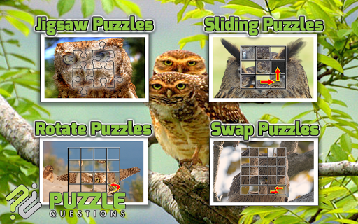 【免費解謎App】Owl Puzzle Games-APP點子