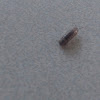 Pill Bug