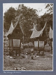 Padischuren in de Padangse Bovenlanden op Sumatra