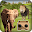 VR Forest Animals Adventure Download on Windows