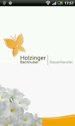 Holzinger-Bachhuber