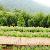 薰衣草森林(新竹尖石店)