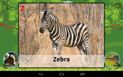 ABC Animals Flash Card HD Screenshots 5