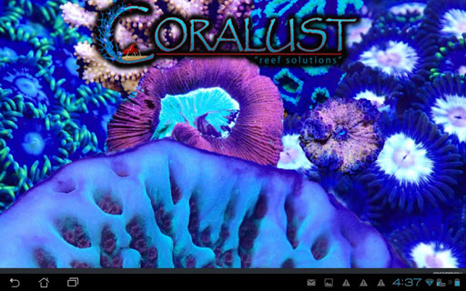 免費下載商業APP|Coralust Reefer Hobbyist Guide app開箱文|APP開箱王