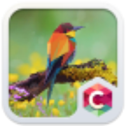 Geometric Bird Animal Theme HD 4.8.6 Icon