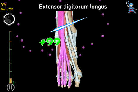 Anatomy Ninja Lower Limb(圖5)-速報App