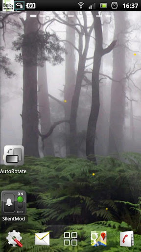 rain forest live wallpaper