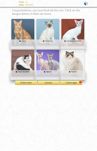 免費下載解謎APP|CATS Match 'N Learn - FREE app開箱文|APP開箱王
