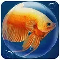 Dream Fish Seasons icon