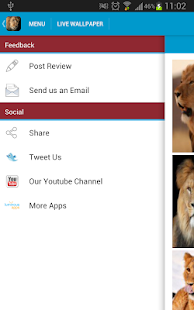 Amazing Lions Wallpapers(圖7)-速報App