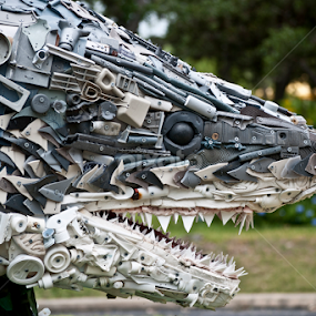 Shark by Sergio Yorick - Artistic Objects Other Objects