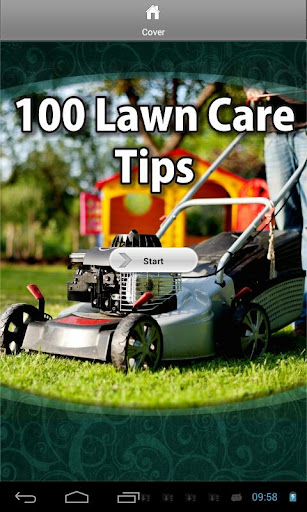 100 Lawn Care Tips