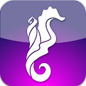 Vallarta Official City Guide logo
