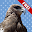 Bilderbuch Tiere FREI Download on Windows