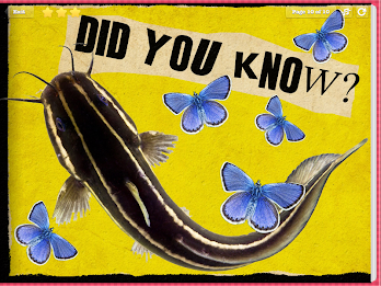 Human Anatomy for Kids - Taste poster 3